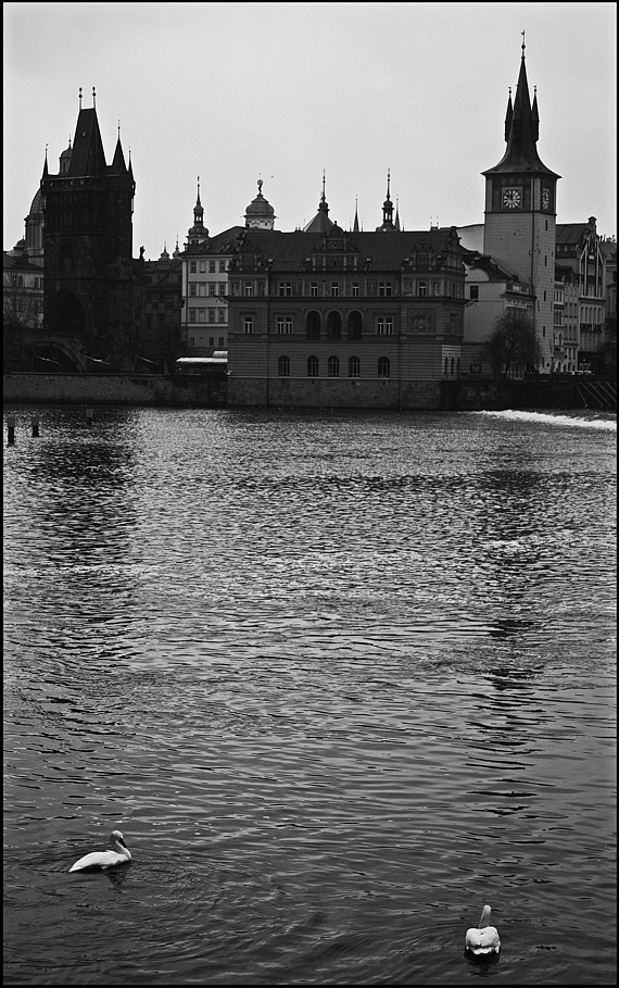 photo "Башни, река и лебеди" tags: black&white, Prag, Prague, Praha