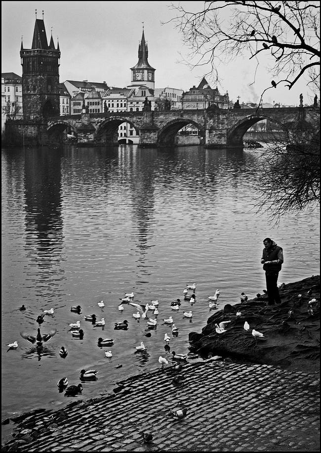 фото "У Влтаву-7" метки: черно-белые, Prag, Praha, Прага