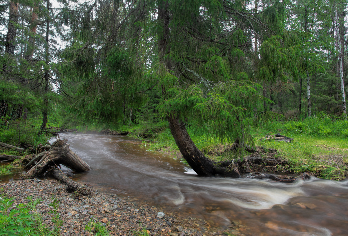 photo "***" tags: landscape, 