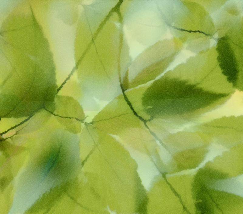 photo "***" tags: misc., abstract, 