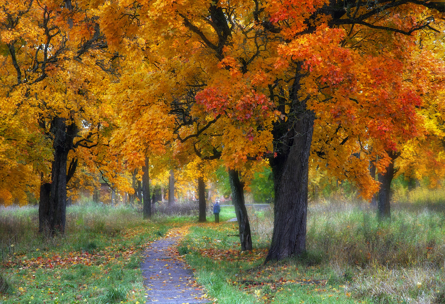 фото "***" метки: пейзаж, 