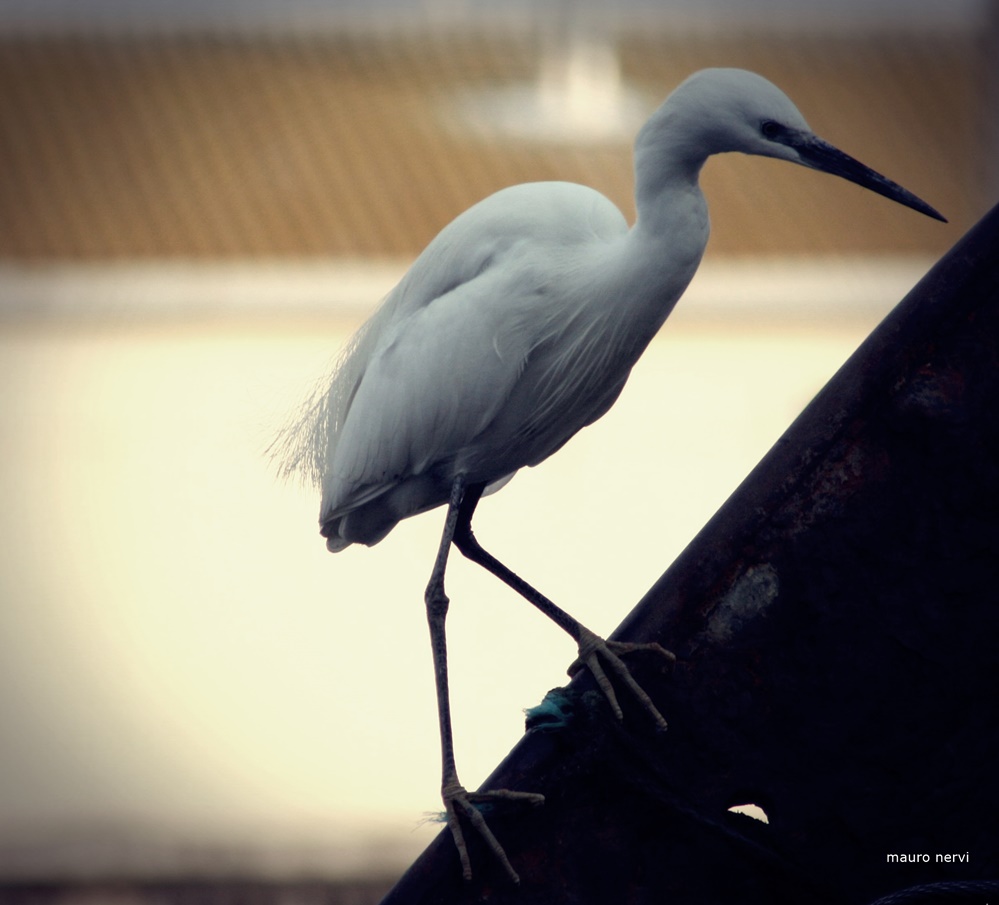 photo "meeting in the port" tags: street, 