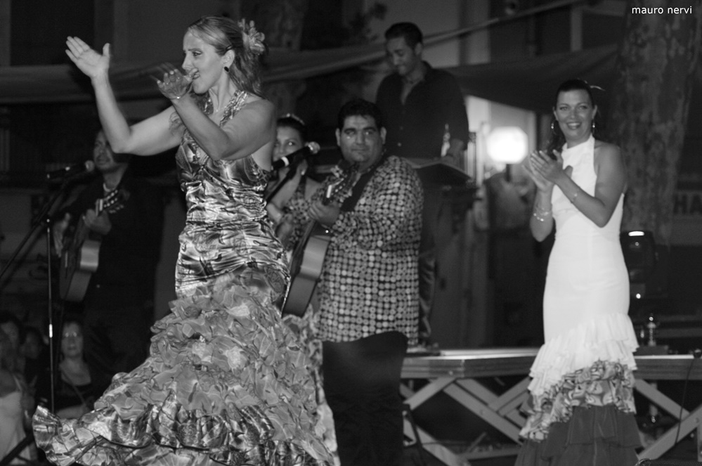 фото "flamenco" метки: черно-белые, 