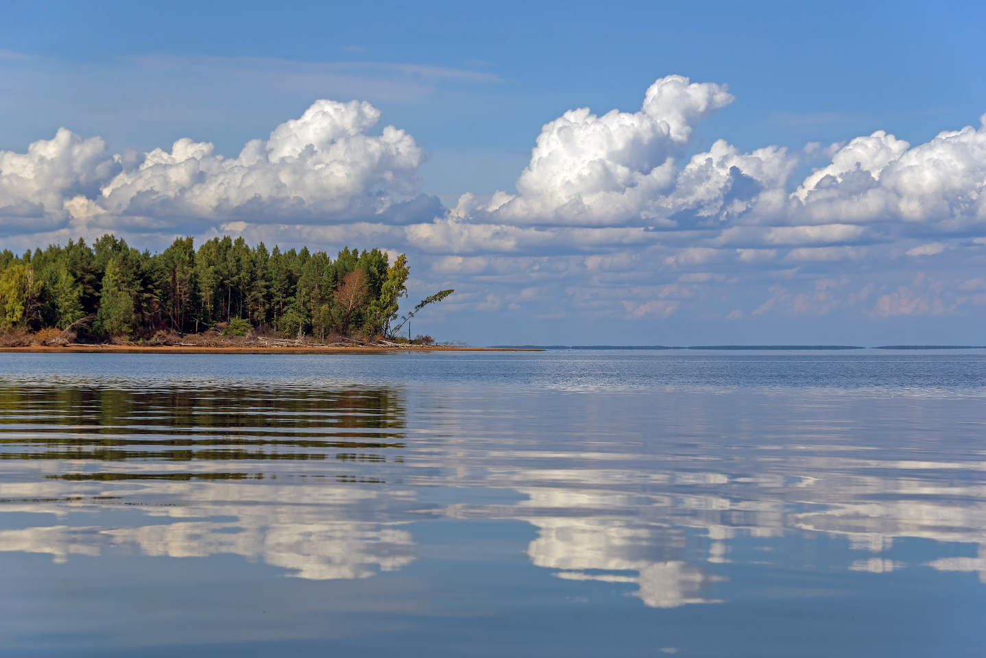 Берег рыбинского водохранилища