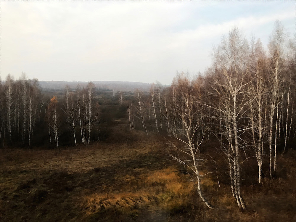 photo "***" tags: misc., nature, landscape, 