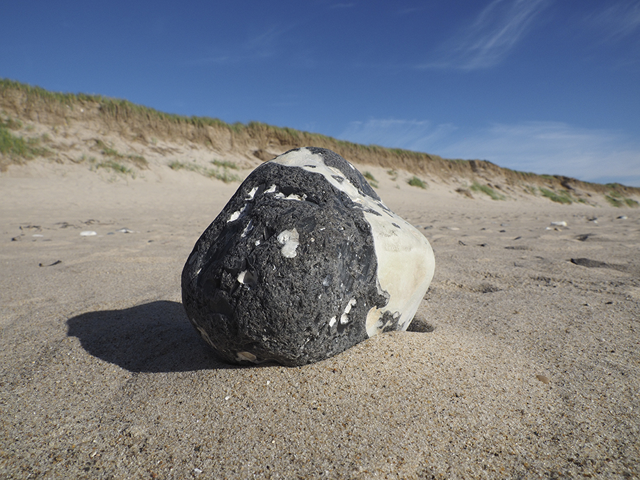 photo "The stone" tags: landscape, nature, macro and close-up, 