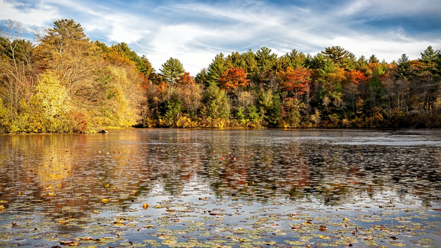 photo "One of the Favorite Themes at Photoforum" tags: landscape, 