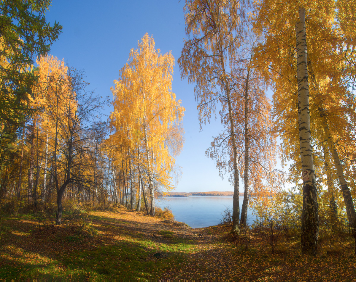 фото "На озере осень" метки: пейзаж, 
