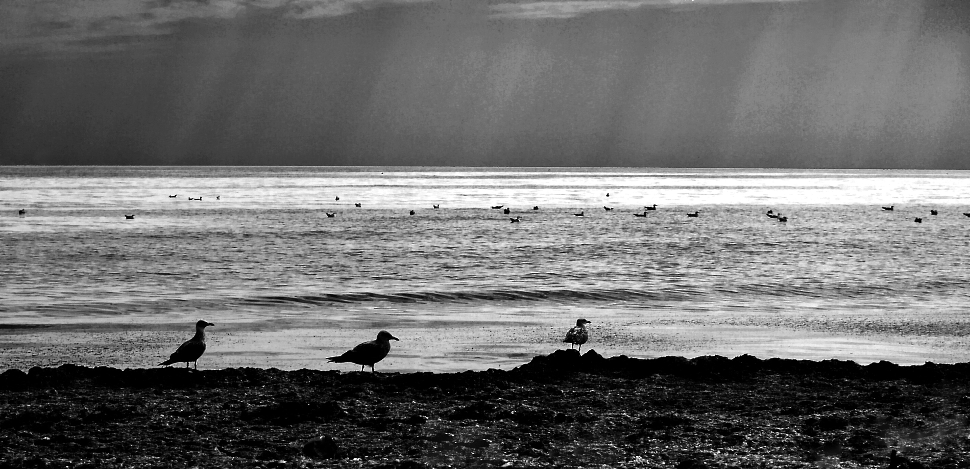 photo "They left..." tags: black&white, sea