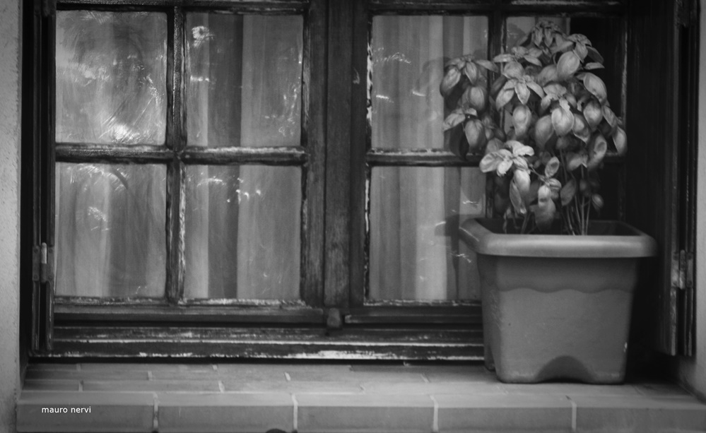 photo "the window" tags: black&white, 