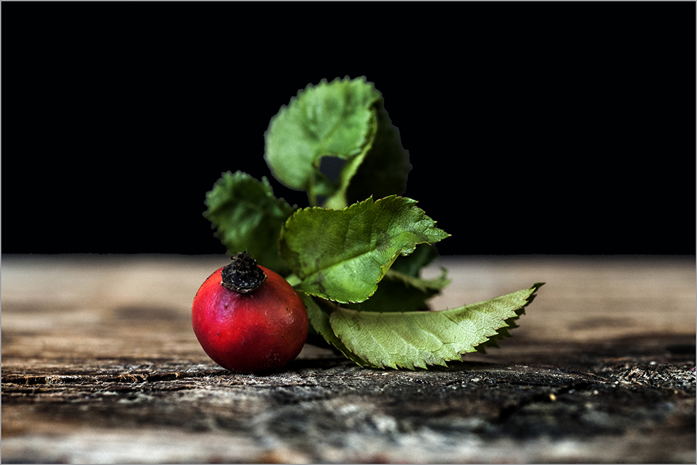 photo "***" tags: still life, 