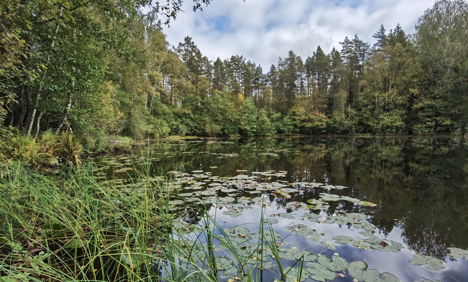 фото "На Куртнаских озёрах. оз. Лина (LINAJARV)" метки: путешествия, 