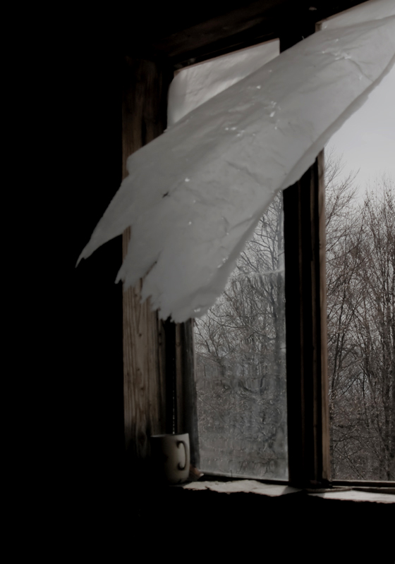 фото "..." метки: разное, 