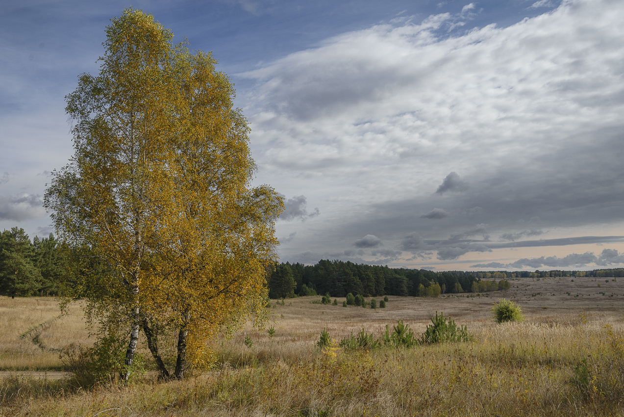 фото "***" метки: пейзаж, 