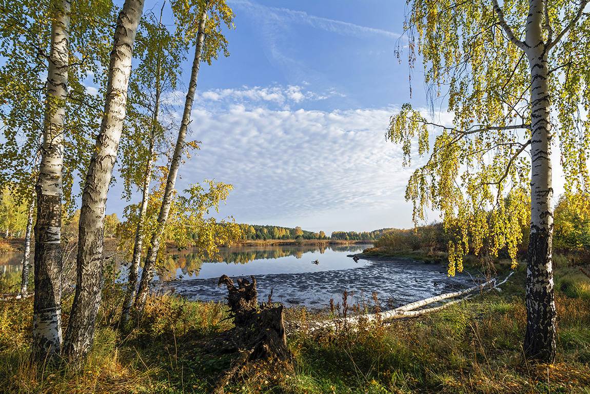 photo "***" tags: nature, autumn, birches, clouds, pond, sky