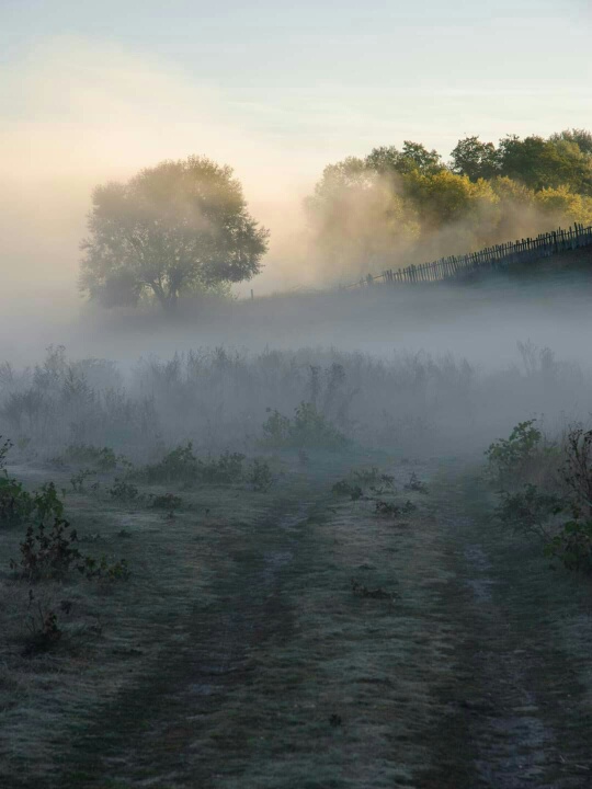 фото "***" метки: пейзаж, 