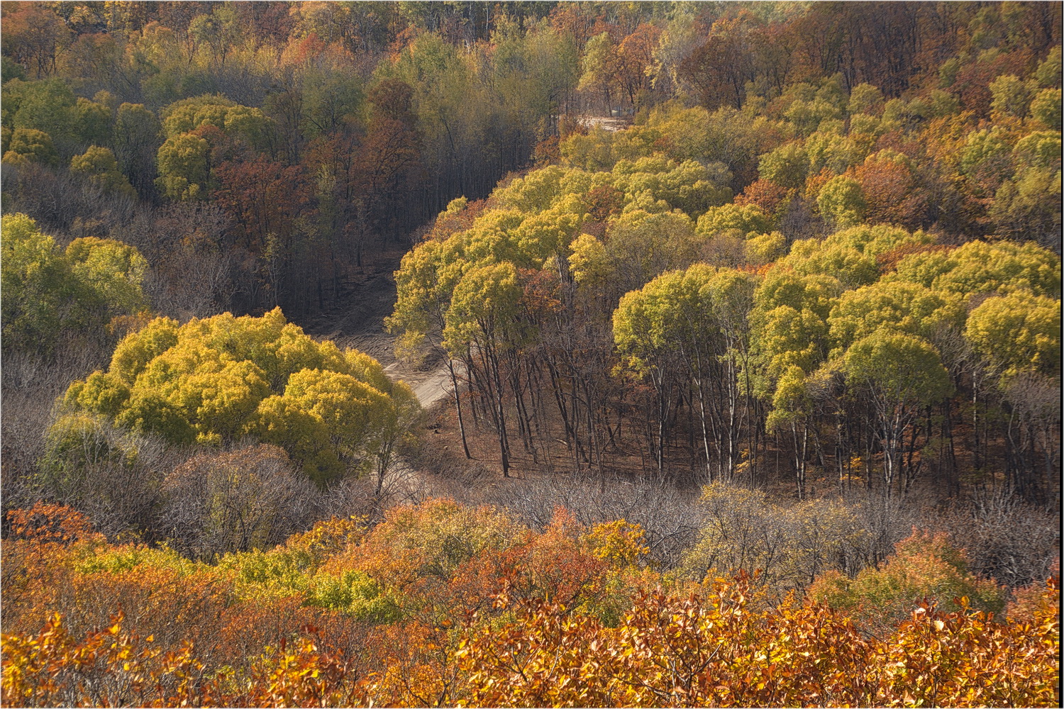 photo "***" tags: landscape, nature, 