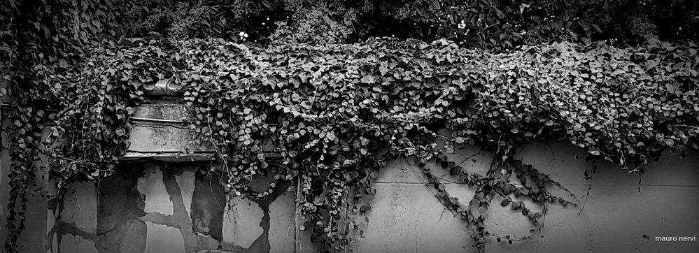 photo "the wall" tags: black&white, 