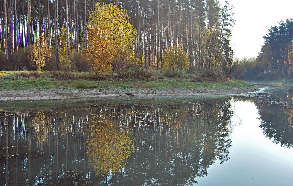 photo "***" tags: landscape, autumn, forest, Домодедово
