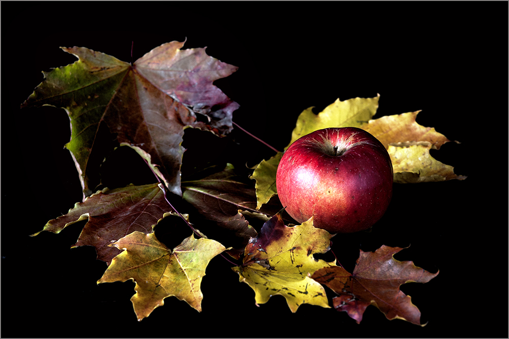 photo "***" tags: still life, 