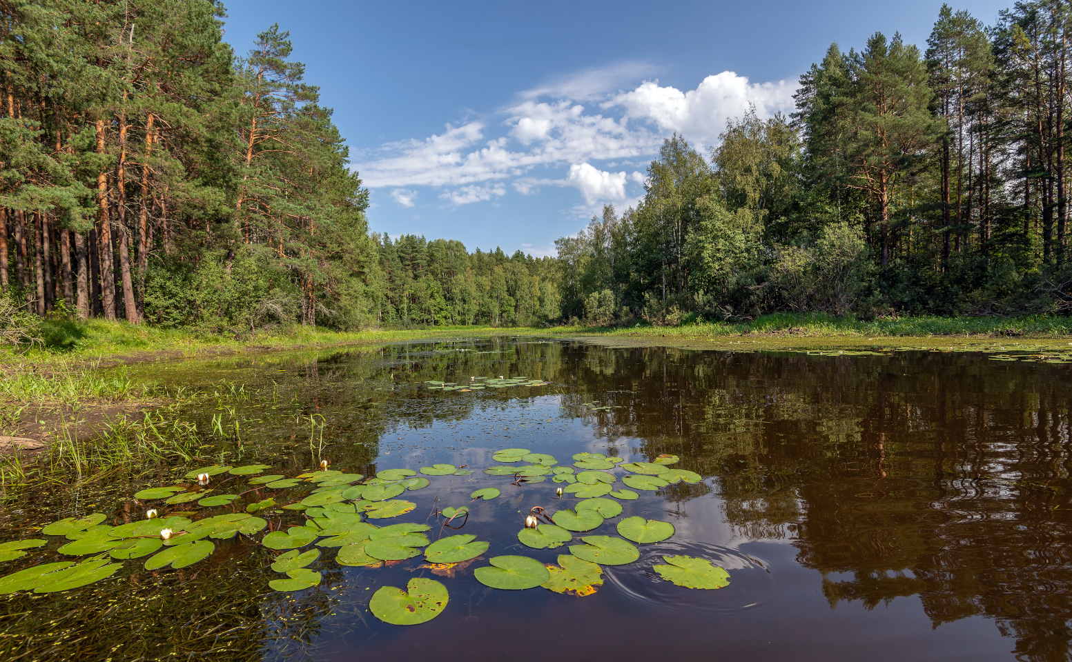 фото "***" метки: пейзаж, 