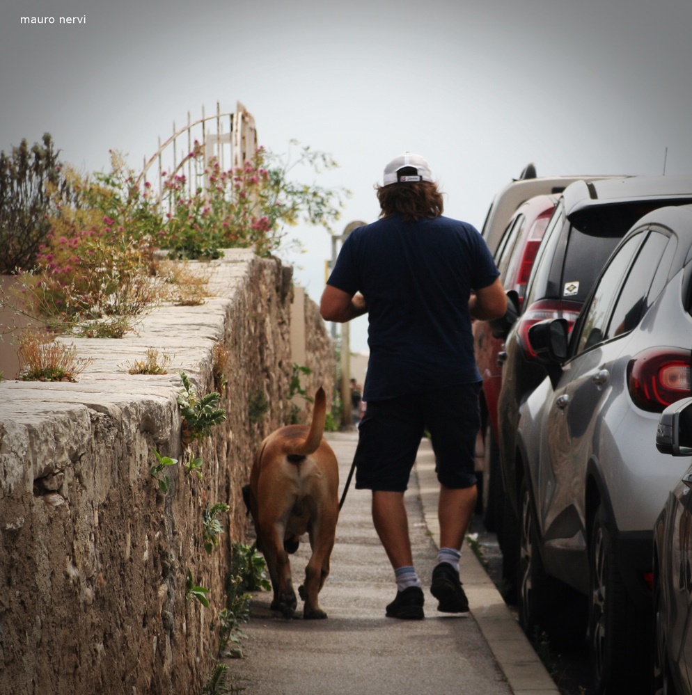 photo "the walk" tags: street, 