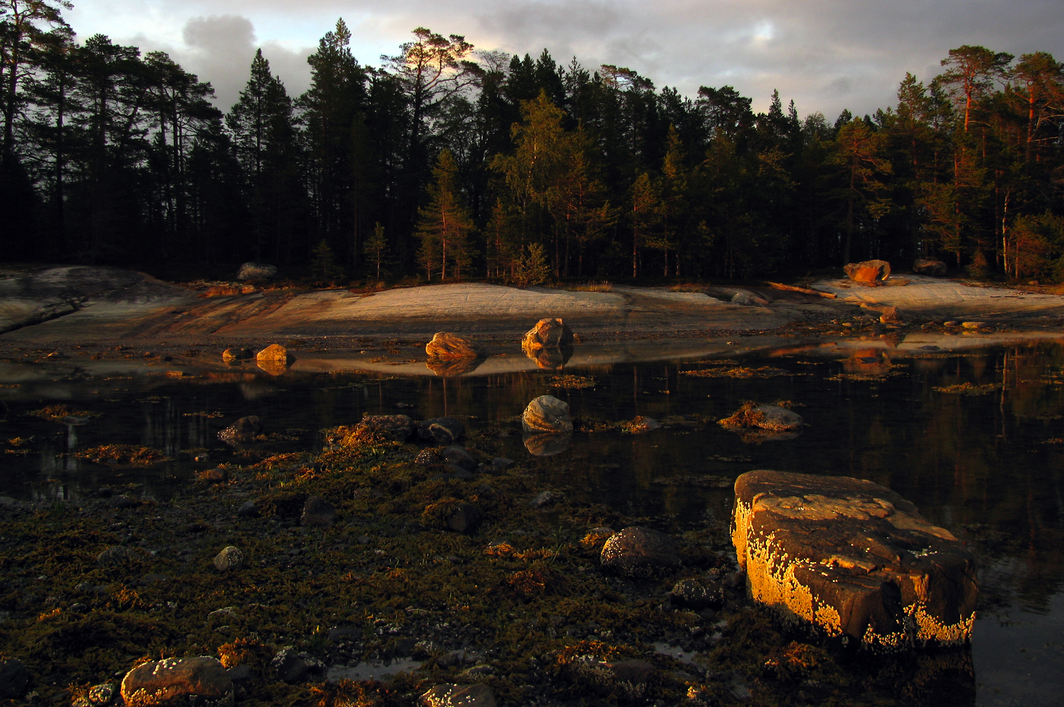 photo "Evening, low tide, balanus ..." tags: landscape, 