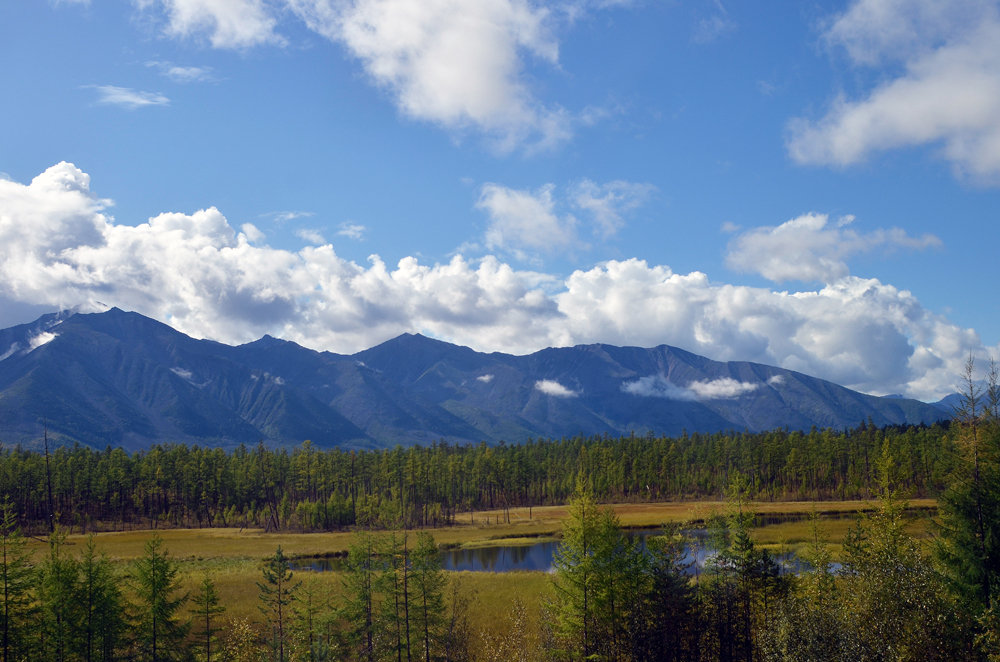 photo "***" tags: landscape, mountains, БАМ. тайга, болота