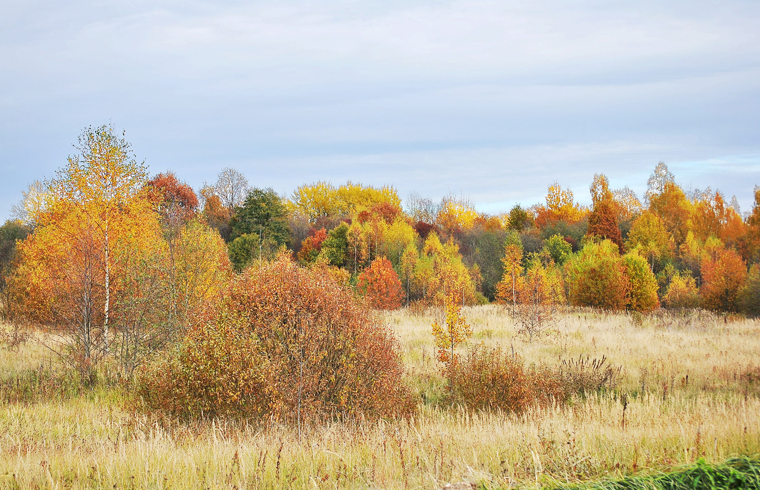 photo "***" tags: nature, landscape, 