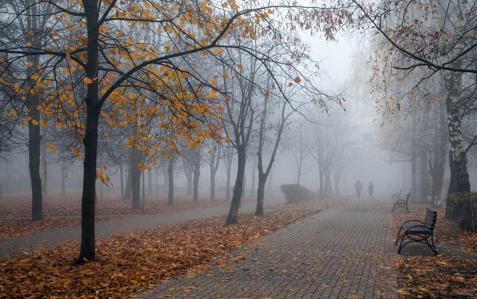 фото "***" метки: пейзаж, 