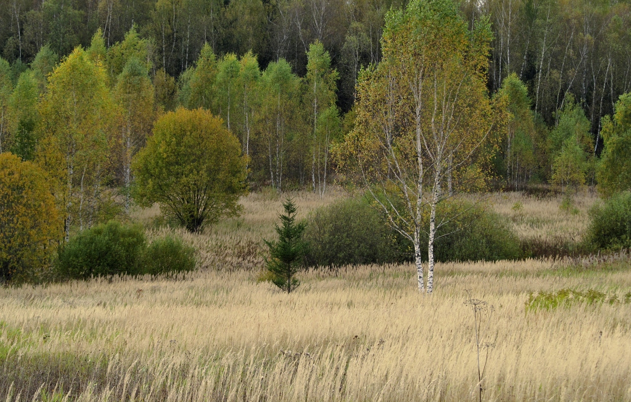 фото "Неба кусочек" метки: пейзаж, 