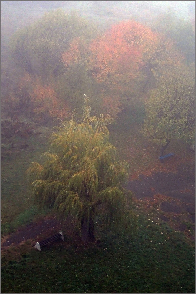 photo "Beautiful autumn...." tags: nature, landscape, 