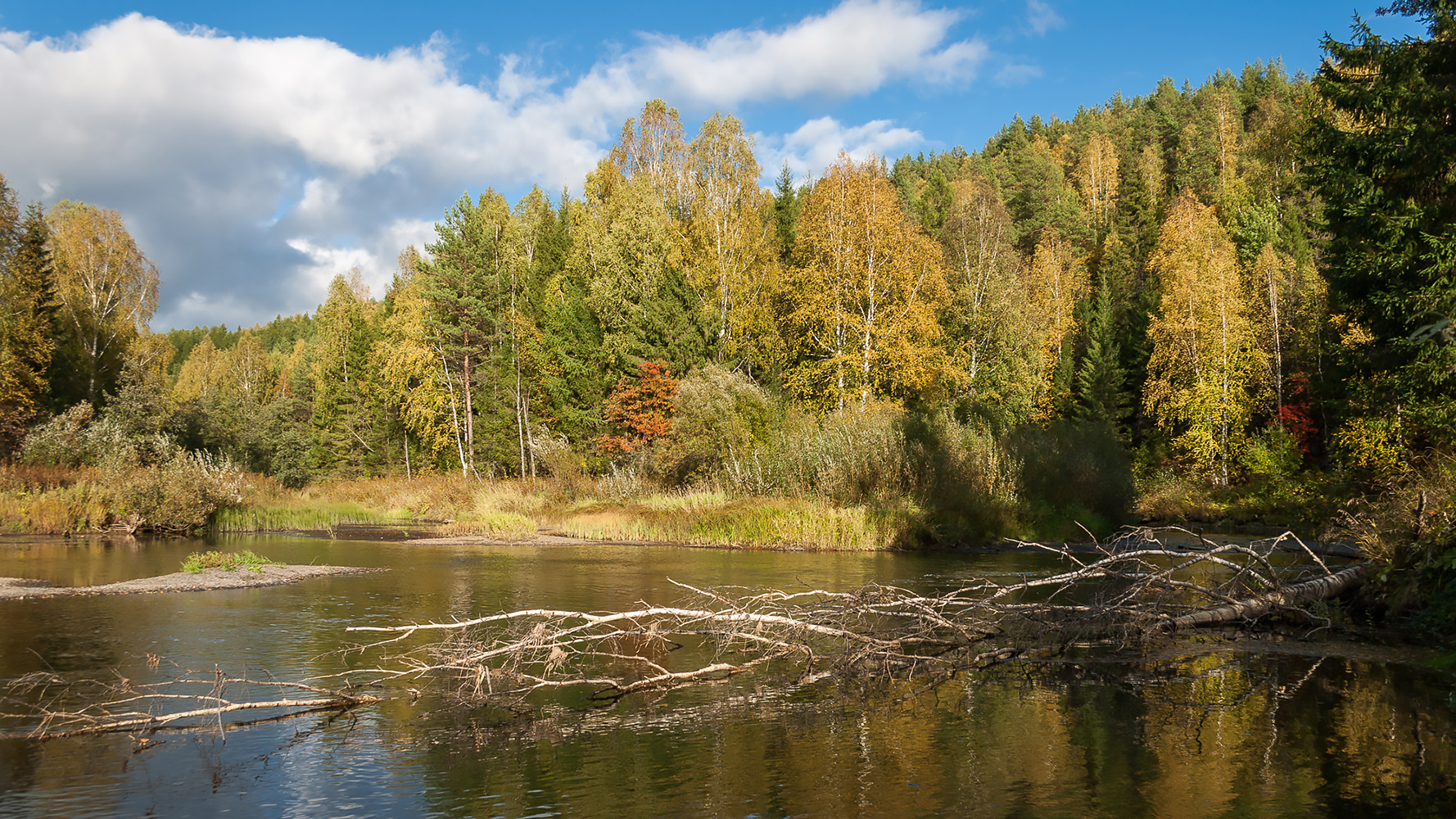 photo "***" tags: landscape, nature, autumn, урал