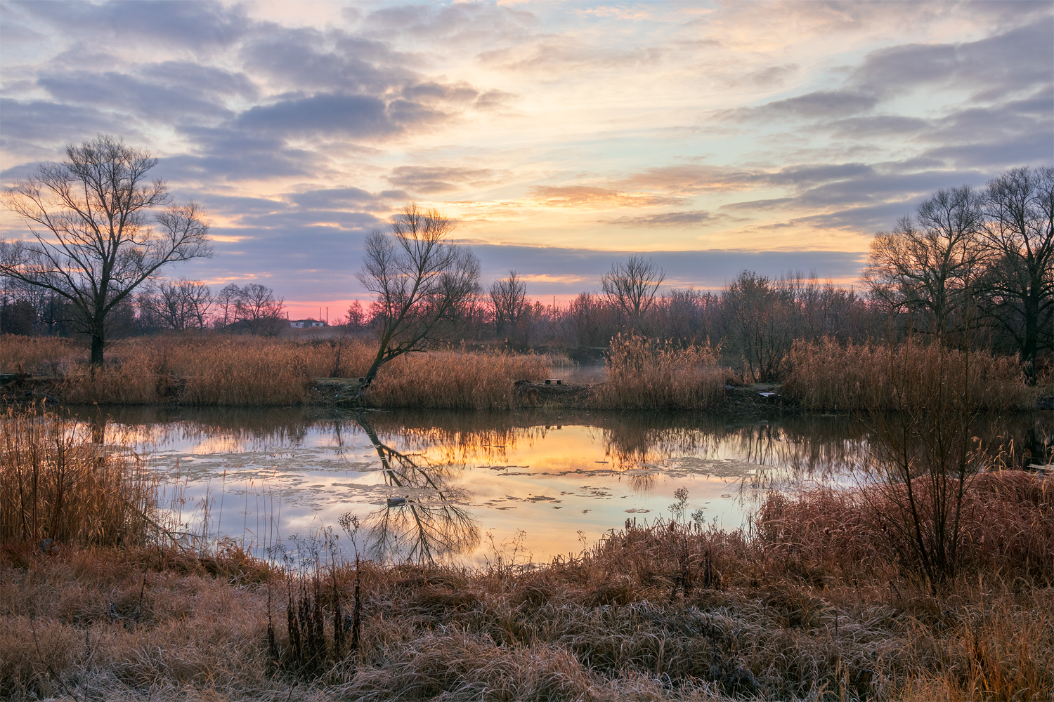 photo "***" tags: landscape, 
