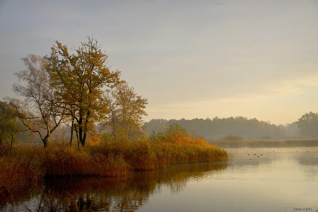 photo "***" tags: landscape, nature, 