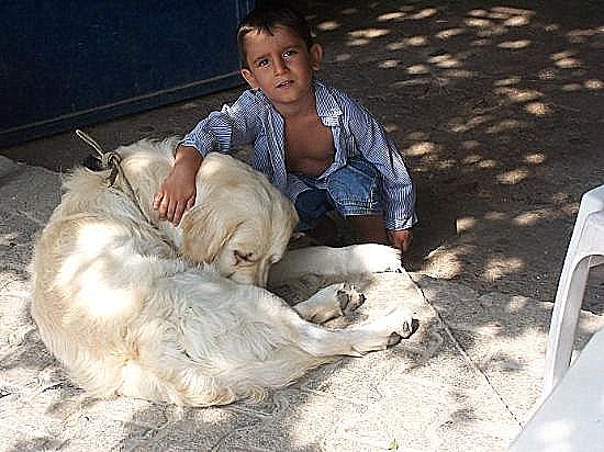 photo "chıld and dog...." tags: street, 