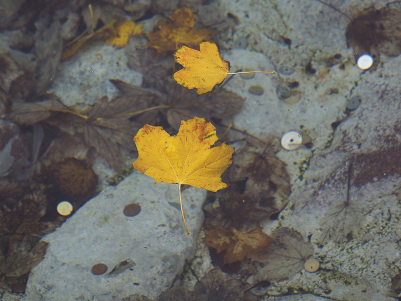 photo "The Wishing Well" tags: nature, travel, street, 