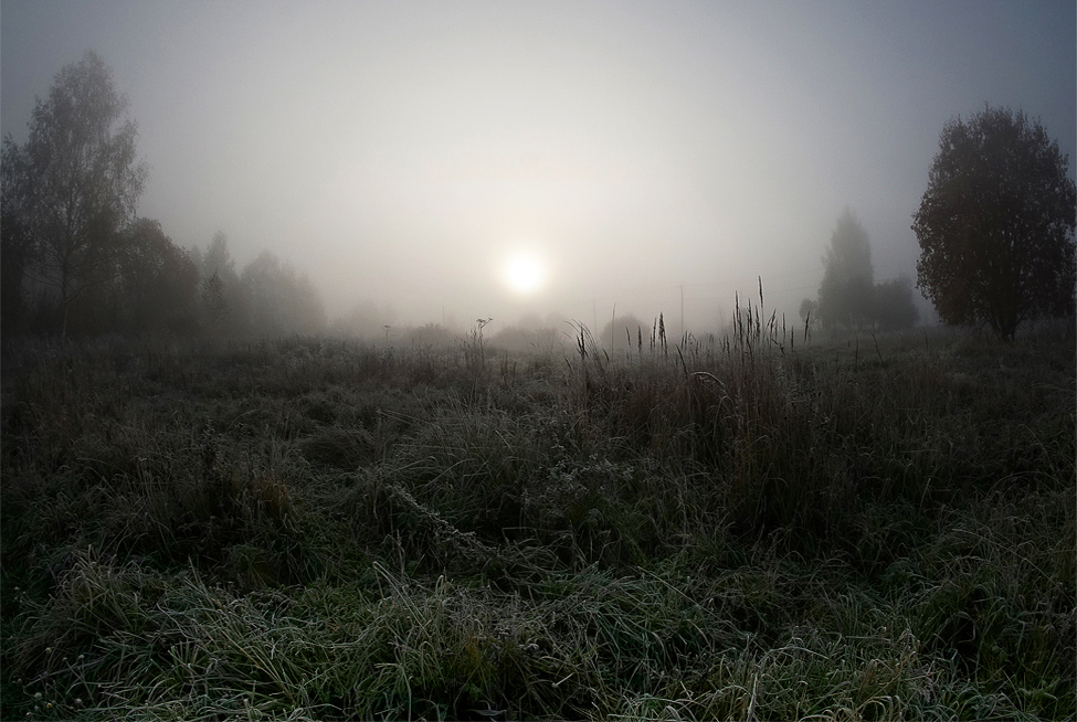 фото "***" метки: пейзаж, туман, утро