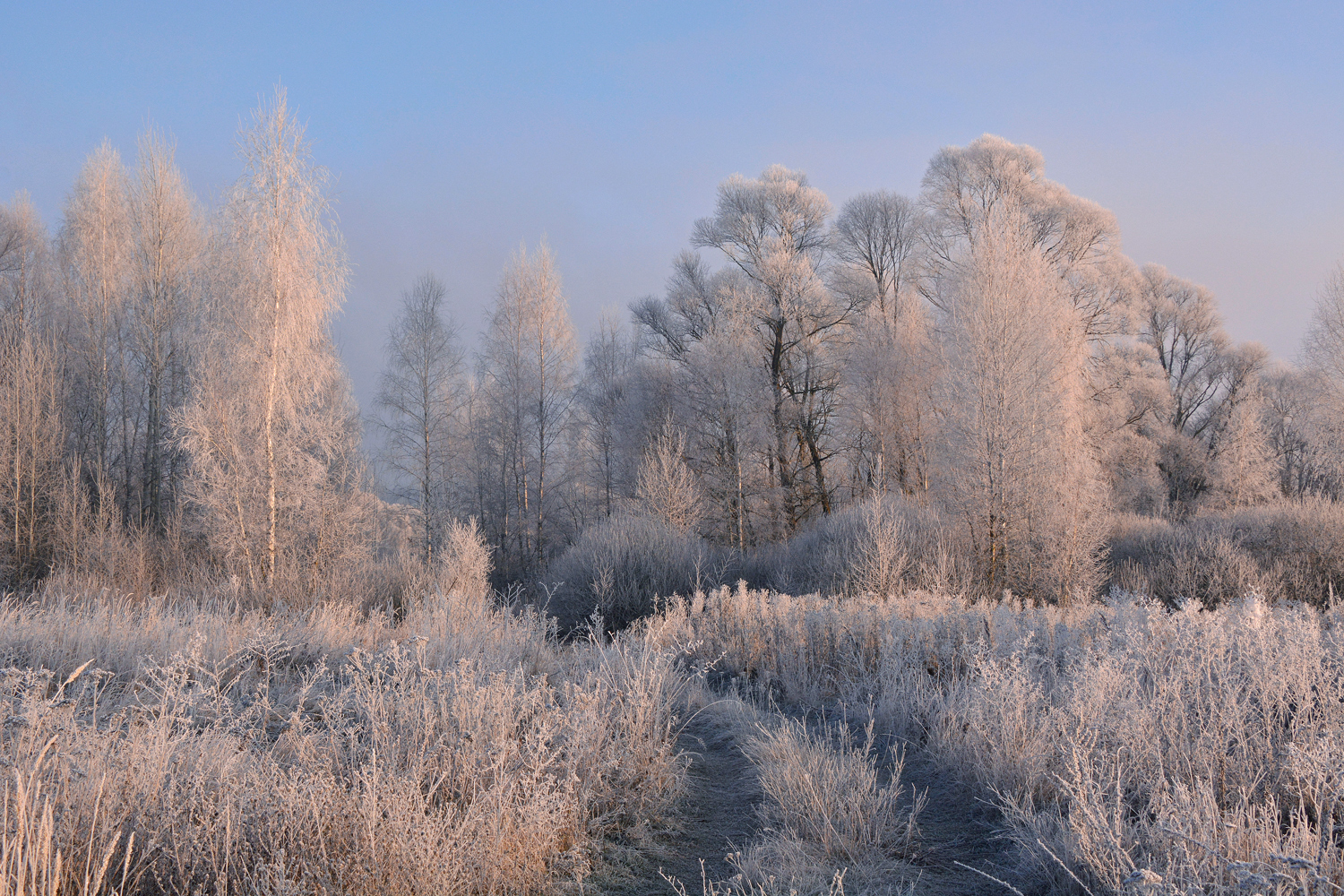 photo "***" tags: landscape, autumn, hoarfrost, morning