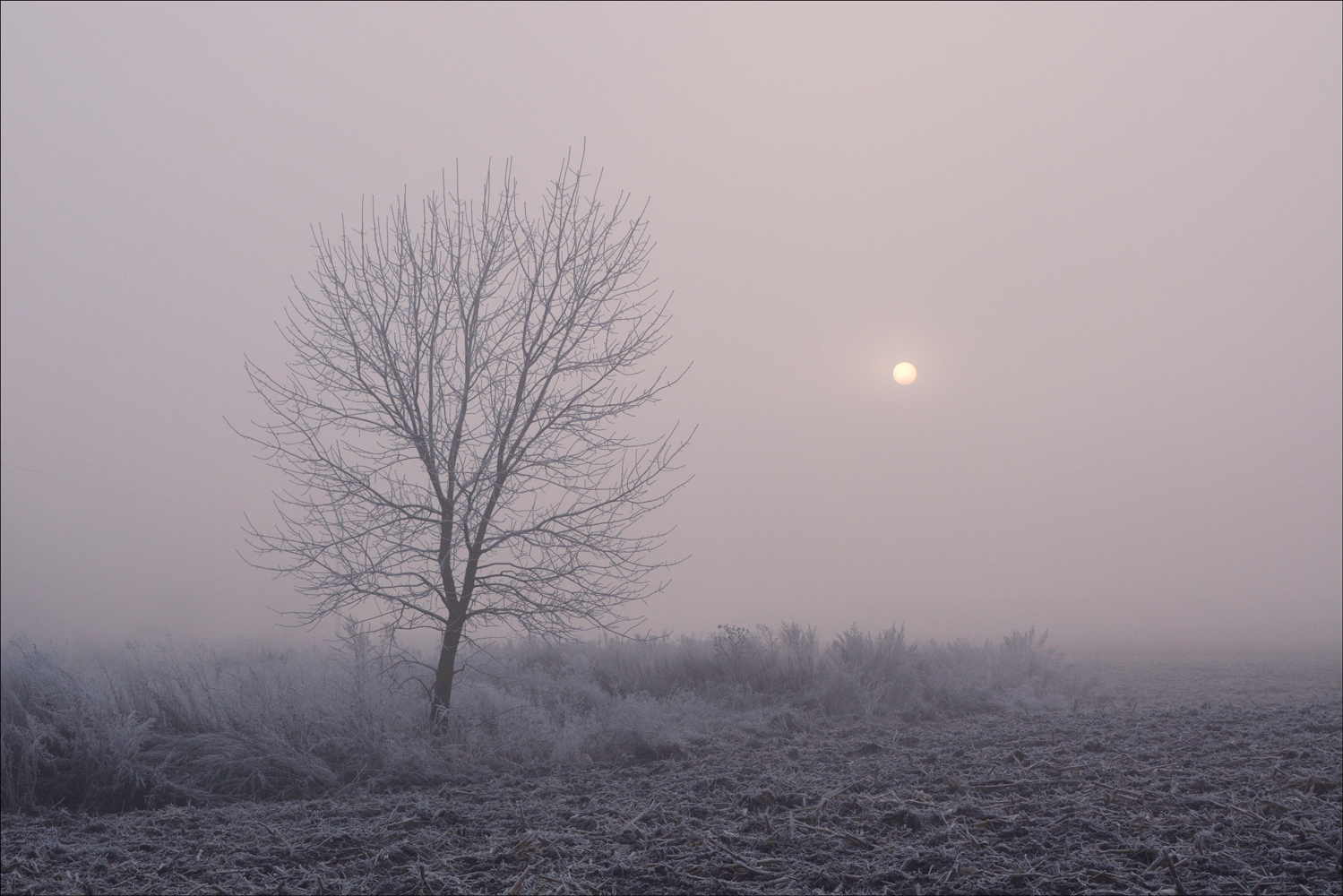 photo "***" tags: landscape, autumn, morning, sunrise, мороз