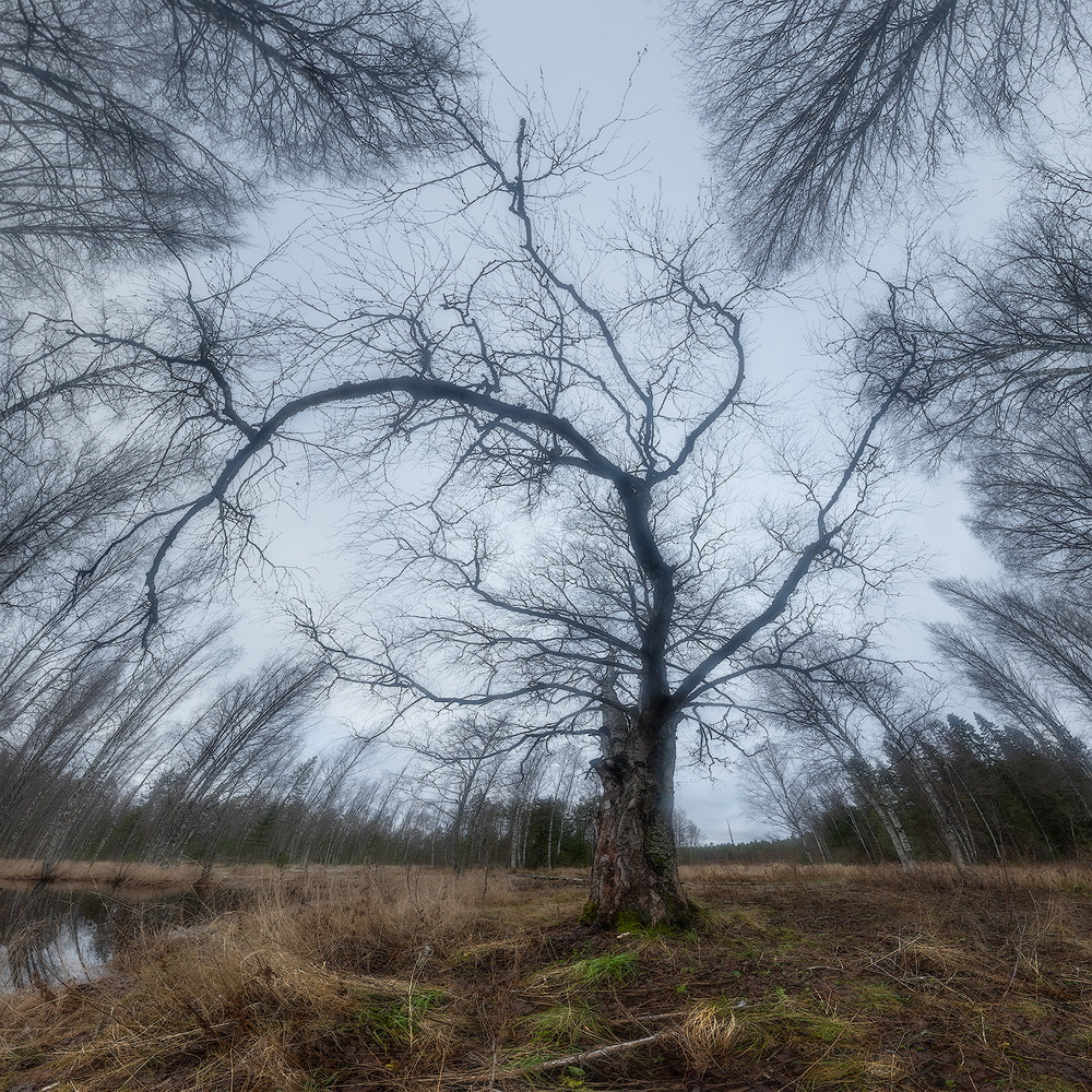 photo "***" tags: landscape, autumn, forest