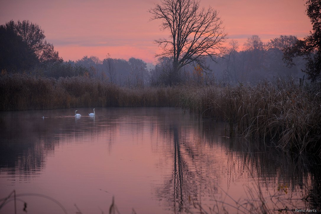 photo "***" tags: landscape, nature, 