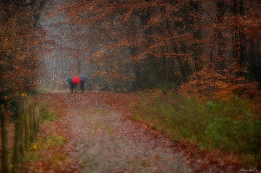 фото "***" метки: пейзаж, природа, 