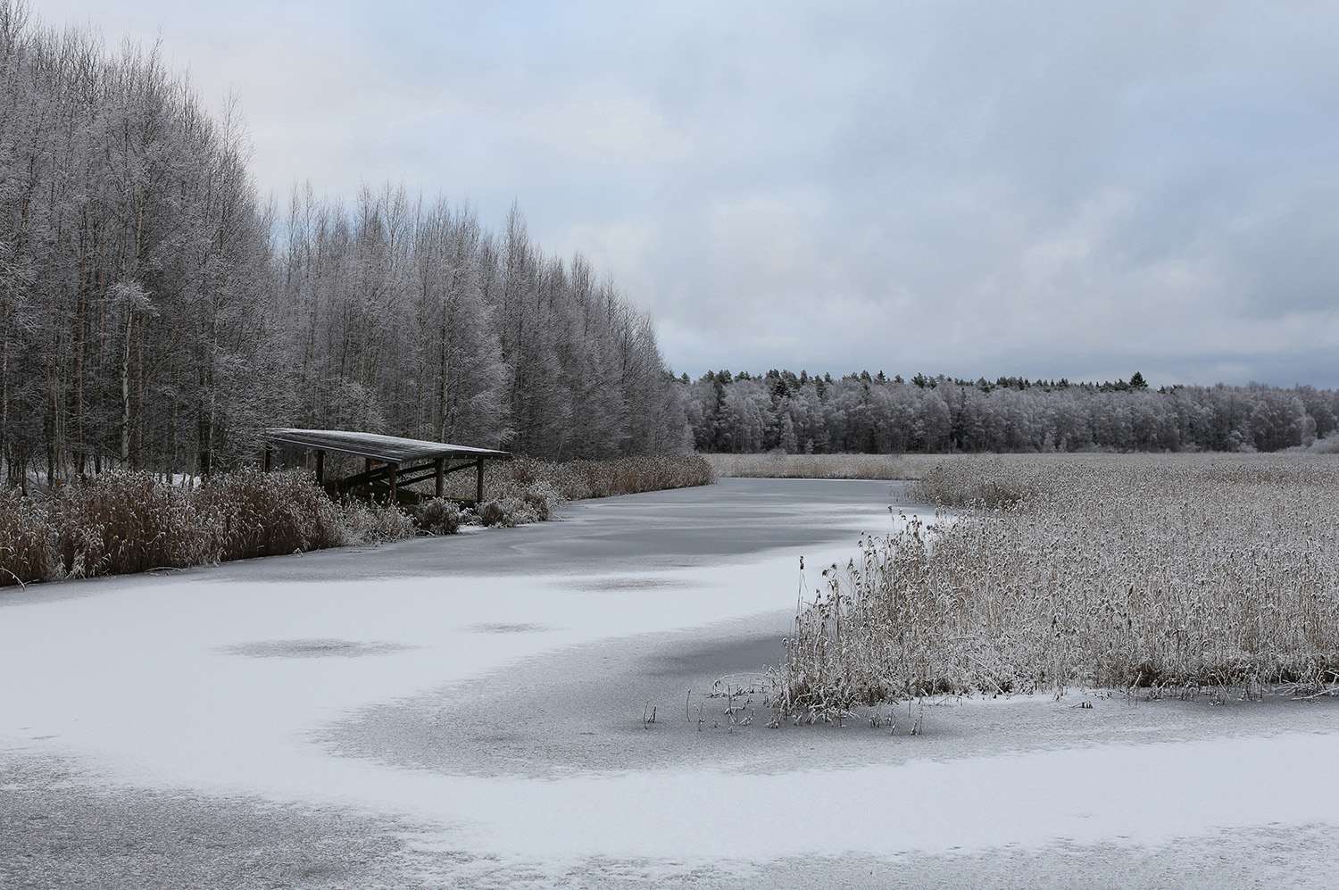 фото "Ридасъярви" метки: пейзаж, Ridasjärvi