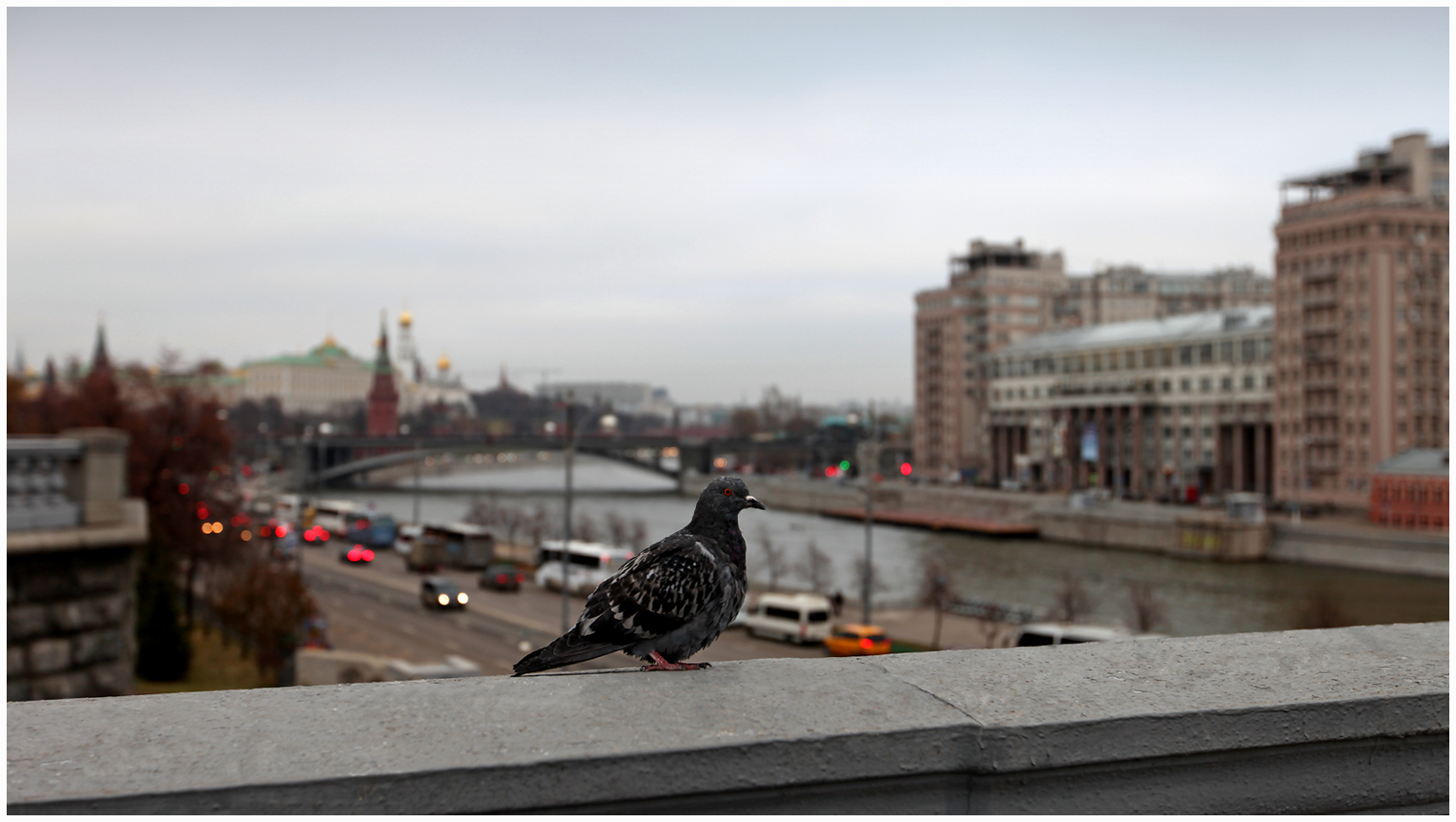 photo "Birdie" tags: city, landscape, 