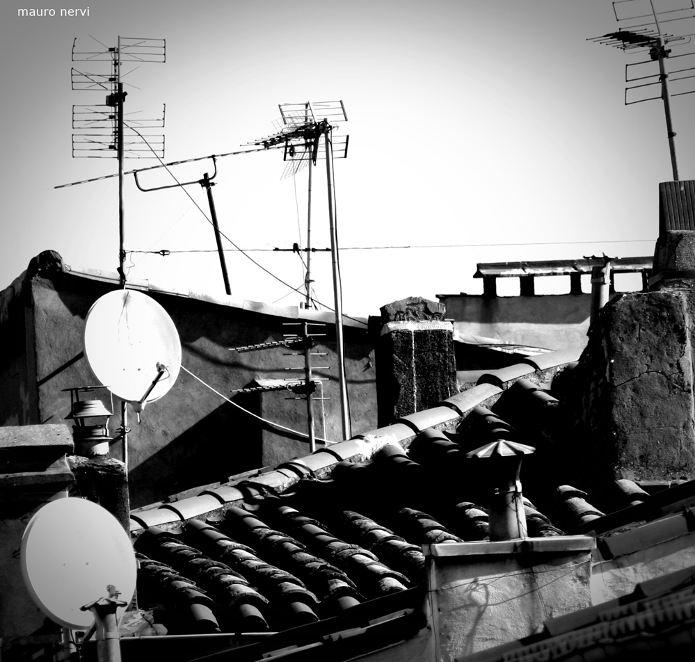 photo "roofs" tags: black&white, 