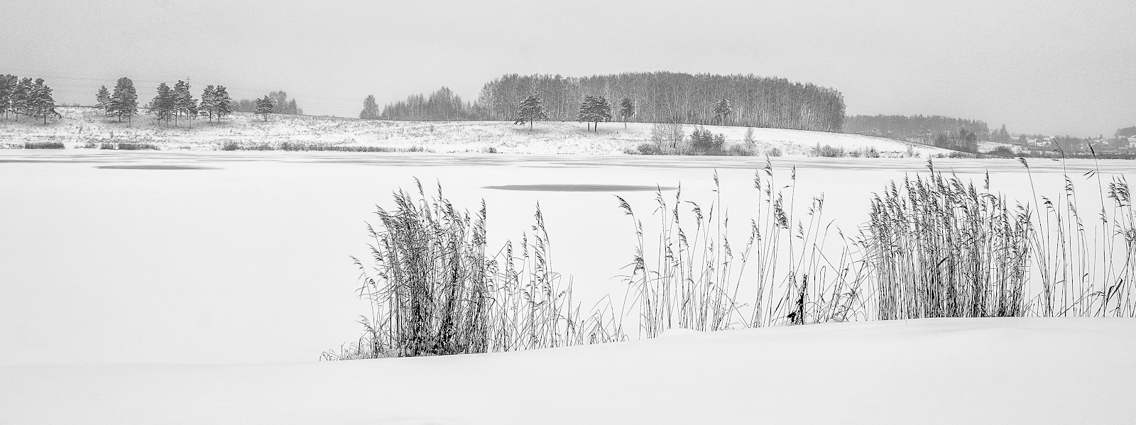 фото "*****" метки: пейзаж, природа, 