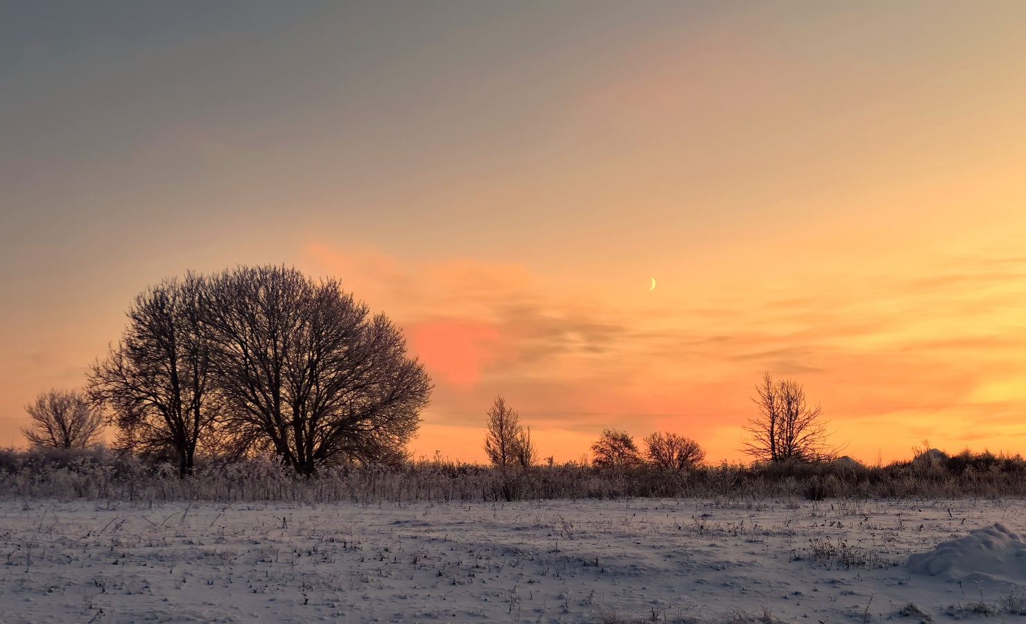 photo "young moon" tags: nature, 