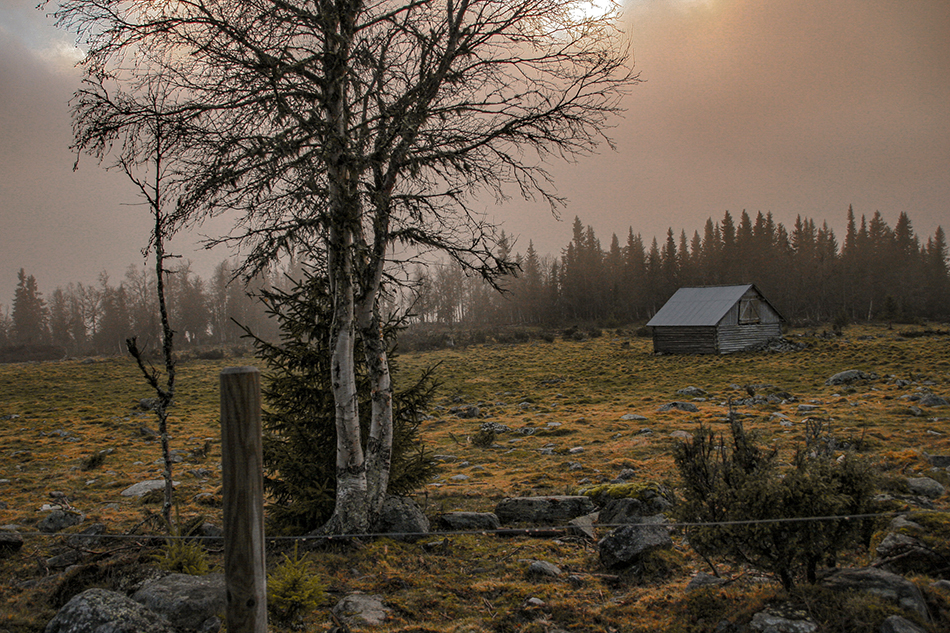 фото "old farm" метки: путешествия, forest, осень