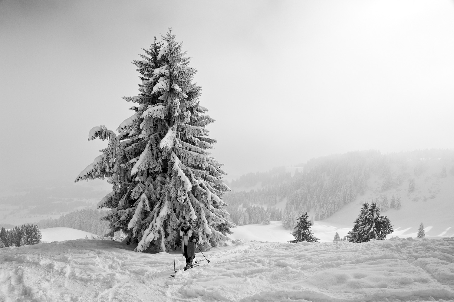 photo "***" tags: landscape, black&white, Europe, mountains, winter